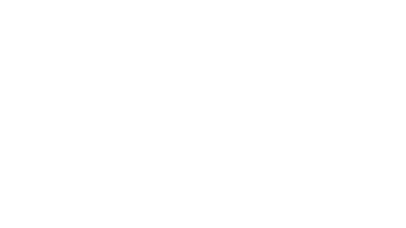 The Traveler Tours